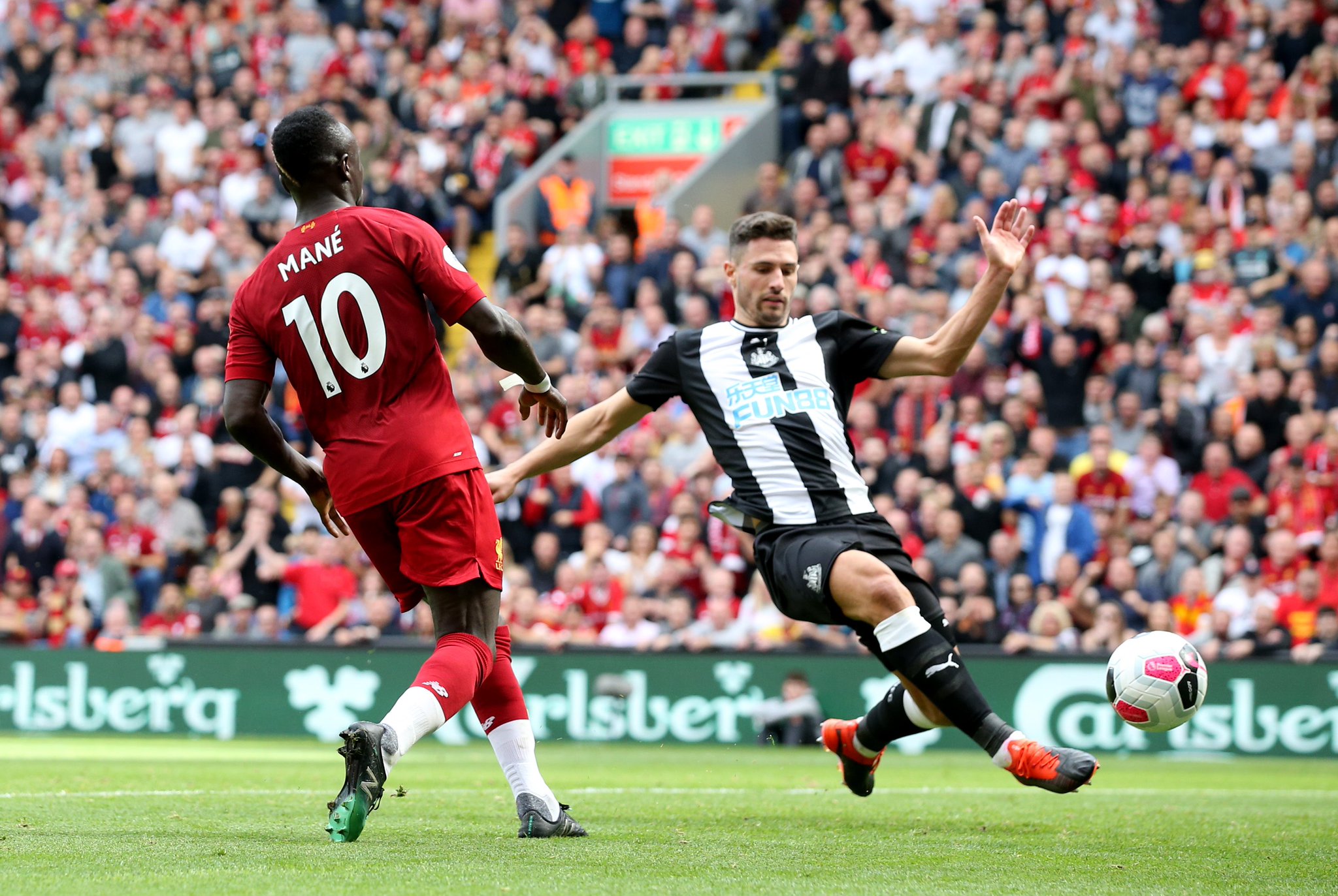 他擅長於挖 他擅長於挖